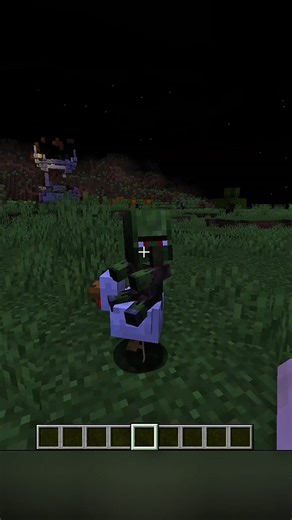 TIGON Gaming on Instagram: "A zombie villagers #Minecraft #reel"