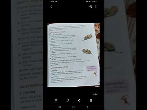 CLASS - II, COMPUTER CH-7 " THE MOUSE " (PART 1) BY KAJAL SHUKLA