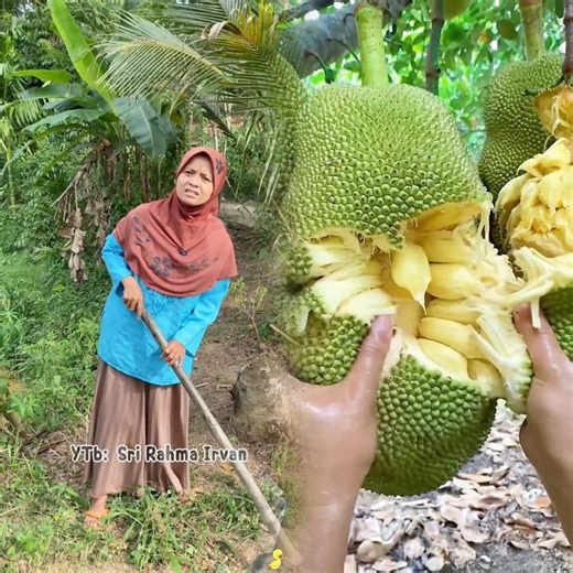 Kalian pernah bikin inai buat kuku nggak? #teman #main #jamandulu #inai #nostalgia #youtube #foryou