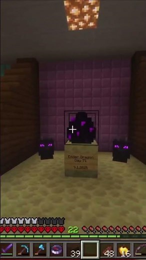 Minecraft Trophy Room