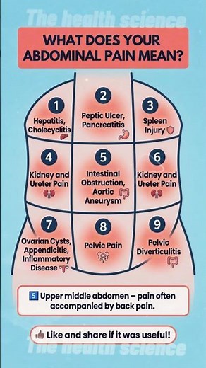 What Does Your Abdominal Pain Mean? (9 Zones Explained)