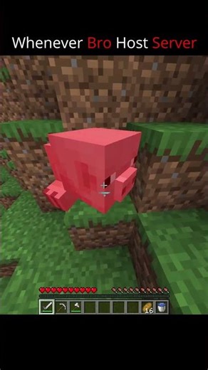 Whenever Bro Host Server