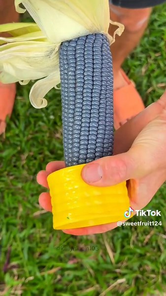 Naturally Growing Rare Fruit You Won't Believe