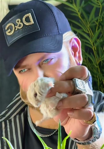 Ali Khan's Animal Adventure with a Mouse