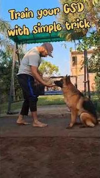 Best Dog Training Moments 🐶🔥 | German Shepherd Tricks #germanshepheard #gsds