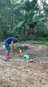 Menu sederhana tumis nangka dan tempe goreng tepung | Fitri Handayani