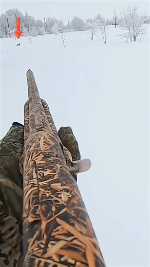 rabbit hunting very best beautiful shots rabbits hunting Veri nice shot