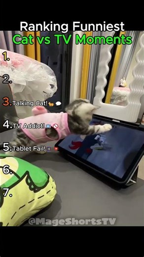 Top 7 Funniest Cats vs TV Moments! 🐱📺🏆