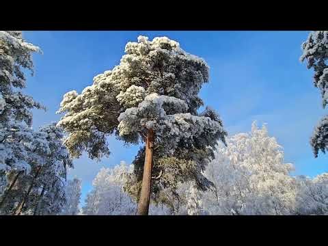 Johann Sebastian Bach - Air on the G String