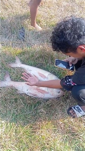 machhali pakdane wala chutkula 🥰 #minivlog #shorts