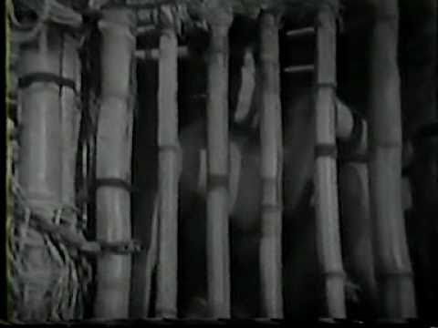 KING OF THE JUNGLE - Larry Buster Crabbe