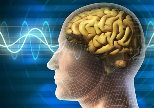 PiEEG is a Raspberry Pi-powered crowdfunding project to read brain bio-signals