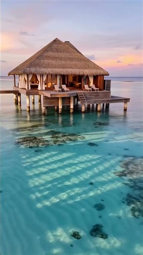 This Maldives Water Doesn’t Look Real… 💎