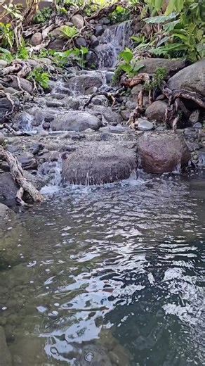 How to Create a Stunning Home Waterfall: Step-by-Step Guide