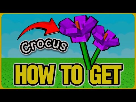 How to Get CROCUS + Showcase in Grow a Garden