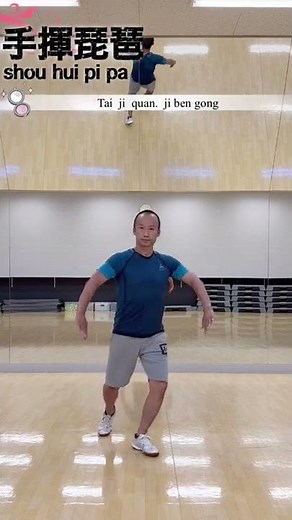 太極拳の基本テキスト【手揮琵琶】