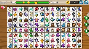 Connect Challenges - Animal