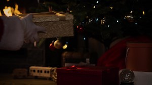 🎄This Christmas, magic isn’t just in the air—it’s at the front door. A joyful, quiet moment by a cozy fireplace and a glimpse of a miracle right outside. ✨Sometimes, the greatest gifts aren’t under the Christmas tree—they’re in the moments we never want to miss and forget. | Ajax Systems