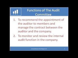 1.5 - The Audit Committee