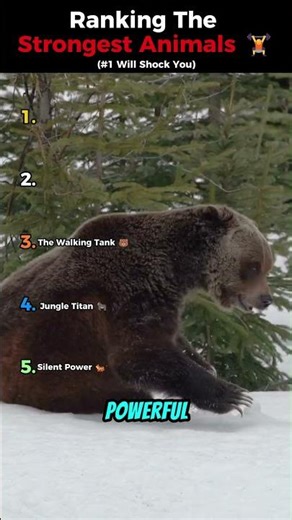 Top 5 Animals With Insane Strength 😳 #animals