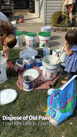 Dispose of Old Paint in Regular Trash using Kitty Litter!
