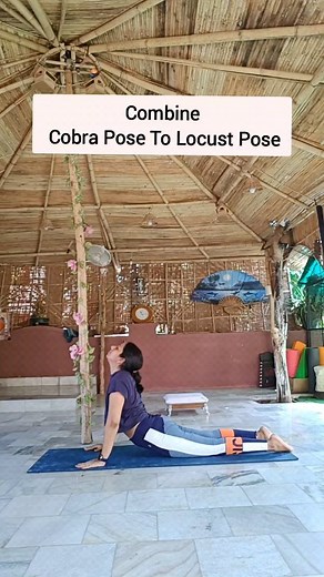 12K views · 153 reactions | Combine Cobra Pose To Locust Pose . Join my online classes to practice with me Contact:-+919828031825 . #yogaforall #yogalife #yogastrong #yogalifestyle #weightloss #stretching #body #fitbody #yogagram #yogadaily #yogaaddict | Aarogyam Yoga Studio | Facebook