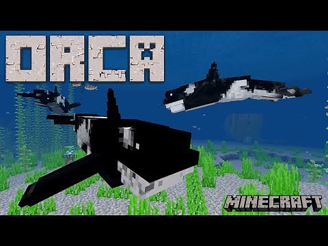 Killer Whale Orca addon for Bedrock Minecraft