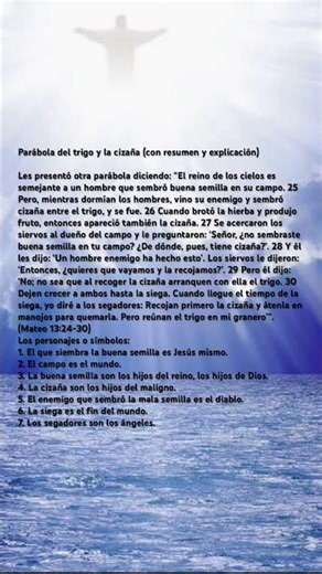 Luz y claridad 🕊️