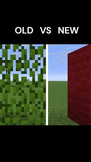 Minecraft New vs Old Textures #shorts #minecraft #nostalgia