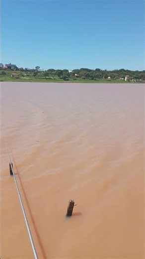 Psalm 126 x 3. #shorts #quote #reflection #bible #love