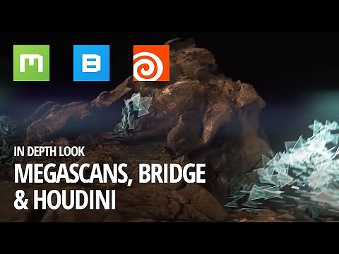 Megascans + Bridge + Houdini: an in-depth look