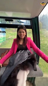 2.9M views · 54K reactions | India's Longest Cable Car Experience in Kashmir  ( Snow hi Snow )❤️ | Sadi Gaddi | Facebook