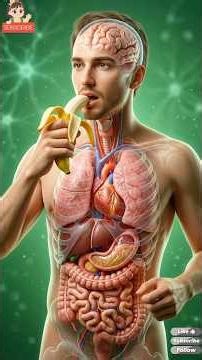 1 banana a day: Good or bad. #youtubeshorts #shorts