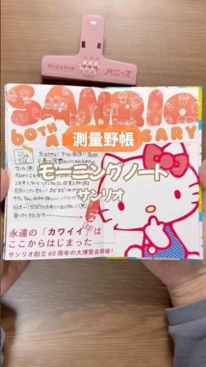 【測量野帳の使い方！】モーニングノート📖☀️サンリオ展 #手帳 #手帳デコ #ジャンクジャーナル #junkjournal #測量野帳