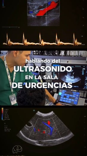 Hergom Vet on Instagram: "Curso-taller de ultrasonido en urgencias. 🚑🐾 No es solo evaluar por ultrasonido, es saber cómo actuar en el momento clave del shock.💡 📅 14 y 15 de marzo 📍 Hotel Las Palomas Tepic, Nayarit 😺 Posterior al congreso CIMEF de medicina felina 🔎 Curso teórico evaluación del shock 💻 Taller de Ultrasonido: A-Fast, T-Fast y VetBlue 👉 Inscríbete ahora, envía DM para más información #FormacionVeterinaria #UltrasonidoVeterinario #UrgenciasVeterinarias #VeterinariaMexico #Mi