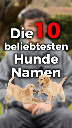 The 10 most popular dog names 😂🤩