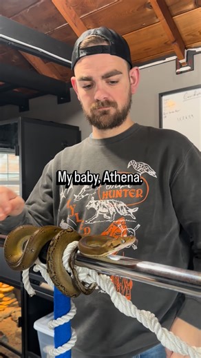 Alex Carr on Instagram: "Interactions like this fill up my cup. #snakelover #reticulatedpython #reptiles #snake #retic #carrreptiles #snek #love #Reticsofig #choicebased #sweetgirl #reticsofinstagram #reticulatedpythonsofinstagram #trust"