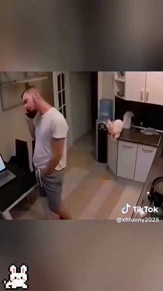 #funny #funnyanimals #pets #fyp | funny animal videos