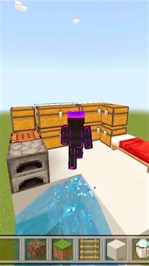 MINECRAFT INVISIBLE LADDER 🪜 #minecraft #viral