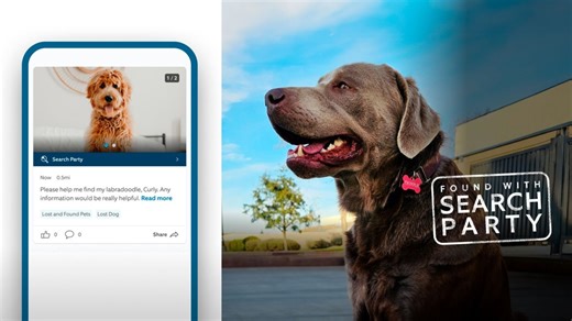 How to use Ring’s ‘Search Party’ to find a lost pet (as seen in the Super Bowl ad)
