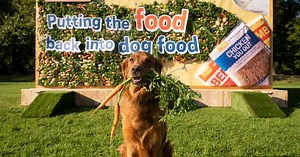Millions of dog owners have no idea what is in their pet's food, study finds