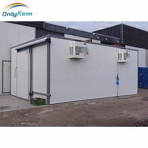 [Hot Item] Walk in Freezer Cold Chamber Cold Storage Refrigeration Room