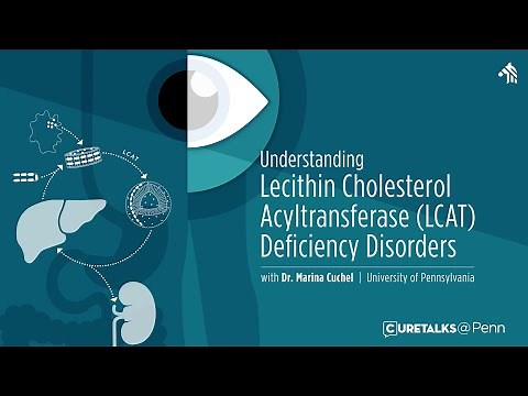 Understanding Lecithin Cholesterol Acyltransferase (LCAT) Deficiency Disorders