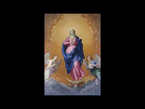 Ave Maria for Chamber Orchestra