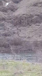 9.1K views · 41 reactions | Big Country News Connection Local News...