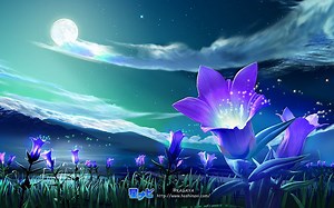 Linux免费教程Part4桌面环境的搭建和适当美化（XFCE篇）