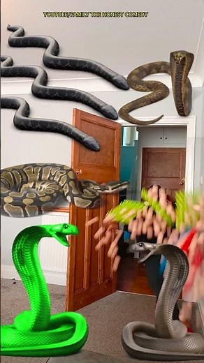 Animal funny video 2026 Anaconda snake python bhoot wala ondel ondel saamp bhoot wala #funny #shorts