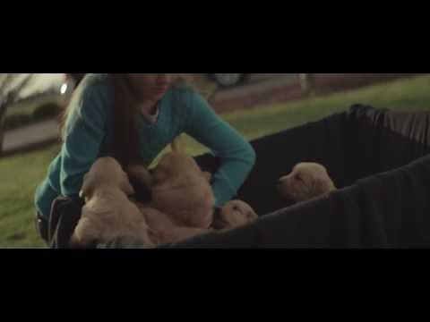 2014 Chevy Commercial "Maddie" - Dominion Chevrolet Richmond, VA