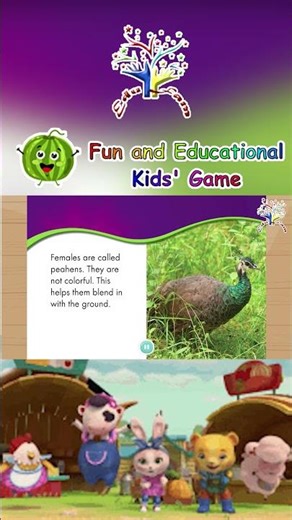 🦚💜 Peacock Safari! | Learn About Colorful Tail Feathers! 💖✨