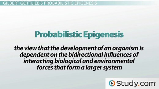 Gottlieb's Epigenetic Psychobiological Systems Perspective